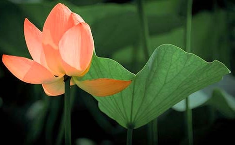 �ɻ���Ԋ��15ƪ����(sh��)�á�