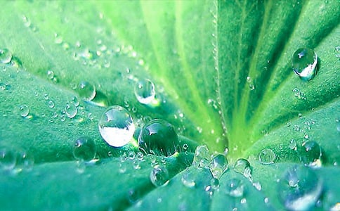 �����~����֪��һ���l�ǡ�ԭ�ļ��p��