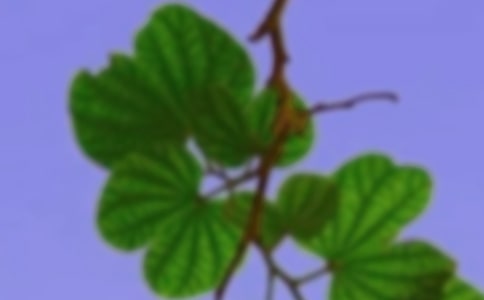 有關和諧的作文匯編5篇