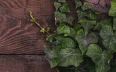 和諧無處不在作文