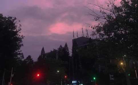 ��ҹ�е���Ӱ���ģ�ͨ��22ƪ��