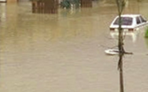 洪水無情,人間有愛作文800字