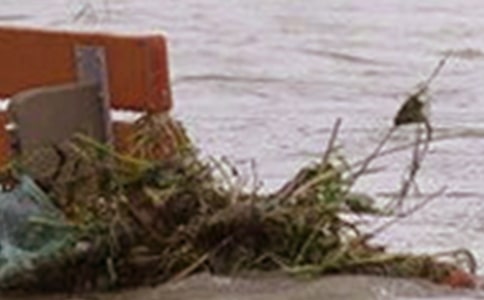 洪水的作文(精選20篇)