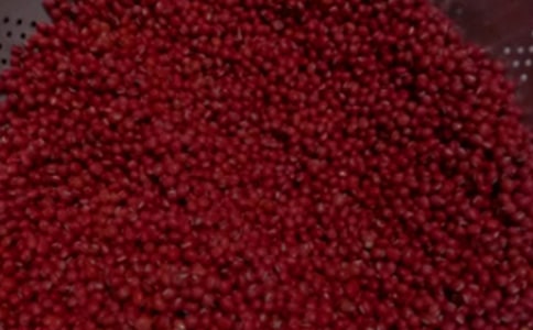 紅豆杉作文精華【11篇】