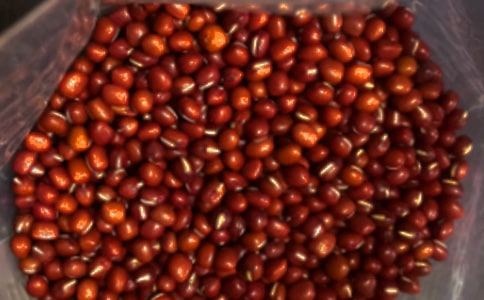 �t��ɼ����