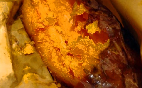 挖紅薯作文(熱)