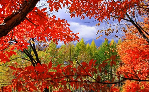 �t�~������