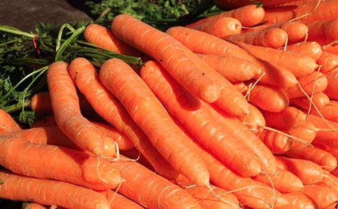 胡蘿卜作文15篇【集合】