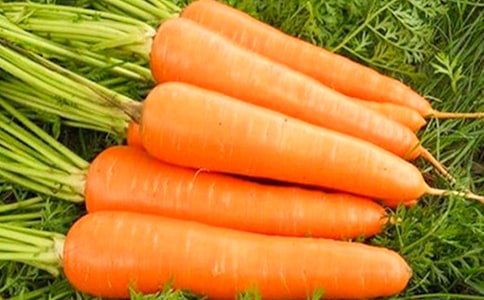 幾種主要胡蘿卜制品的加工技術