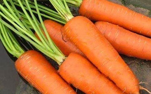 胡蘿卜作文【集合】