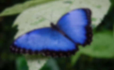 �ϻ��Ժ���Ъ���Z�����