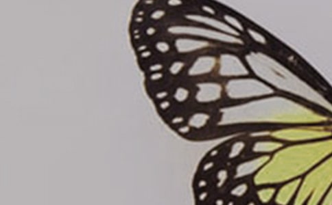 ���P����������