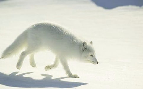 ���f�ͺ�؂�Ĺ��¾��x(15ƪ)