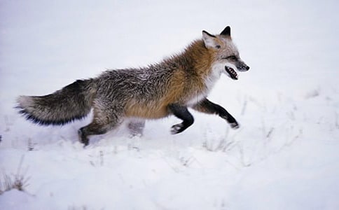 ���ᣩ���f�ͺ�؂�Ĺ���15ƪ