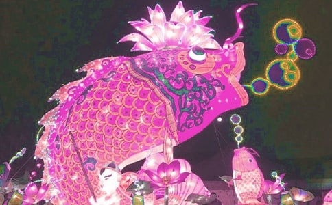 看花燈作文13篇(薦)