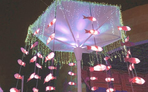 (精品)看花燈作文