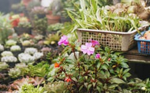 ���ꄓ(chu��ng)�I(y��)Ӌ(j��)����(2)