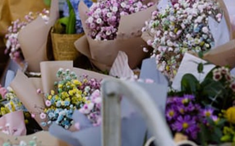 ��W�������I����Ӌ����