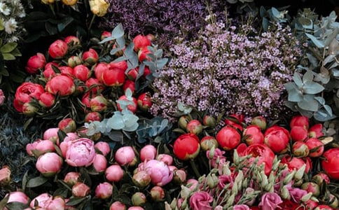 花店創(chuàng)意對聯(lián)