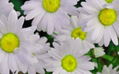 �_��ӛ����̎�Ļ��䡾���x15ƪ��