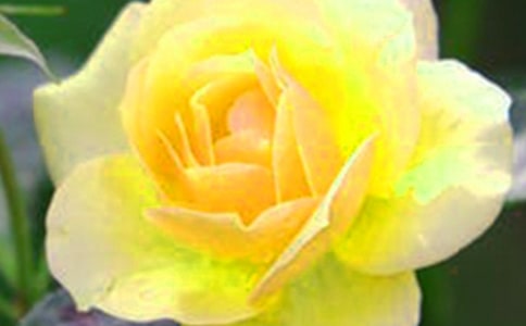 �_(k��i)������Ļ�������