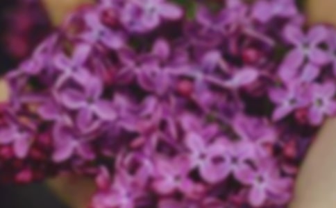 描寫花朵的詞語