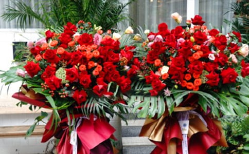 ����Ć��w���@�R�~