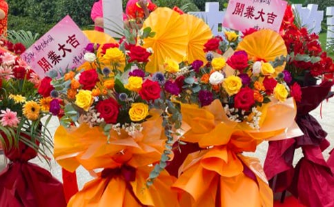 編花籃作文大全7篇