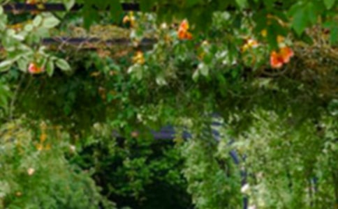 (推薦)我家的花園作文