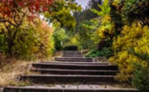 巨人的花園教學實錄