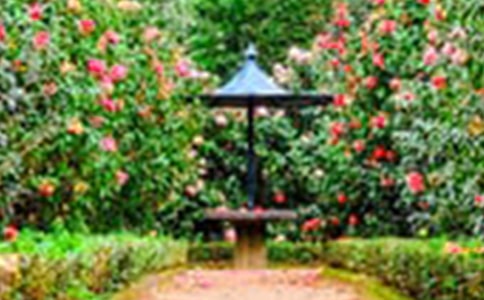 �ҼҵĻ��@����[����9ƪ]