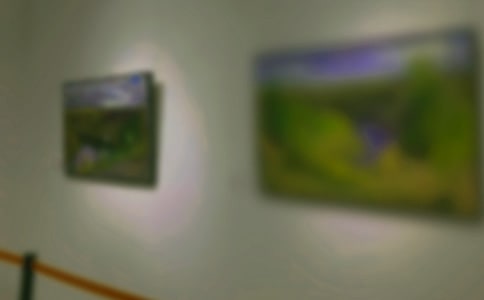 畫展的個人觀后感