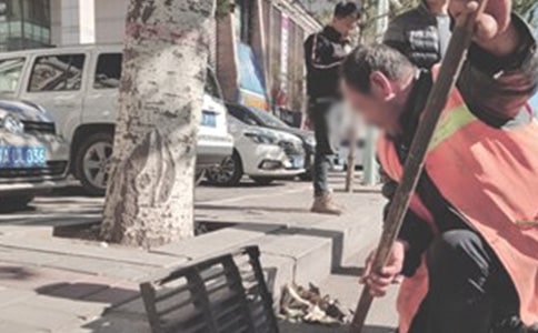 [����]�h�l��������15ƪ