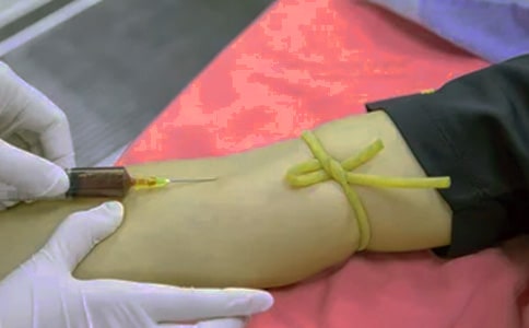 �������ߵ�ʮ�N���ͱ��F(xi��n)