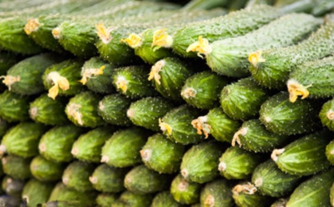 �S�χ����x���[���A4ƪ]