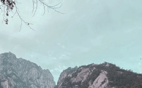 �P���Sɽ�Ă��f����