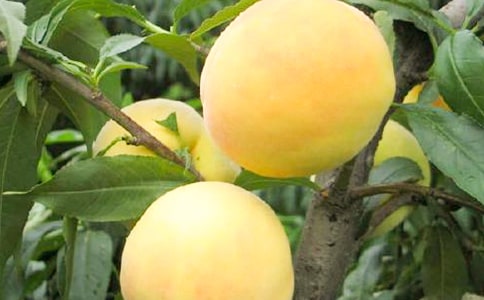 ���l���S������