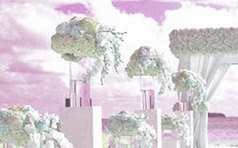 婚禮證婚詞15篇【實用】