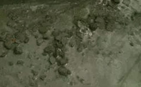 �������������(��(y��u)��15ƪ)