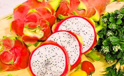 火龍果作文精選15篇