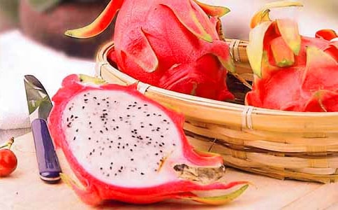 火龍果作文匯編(15篇)