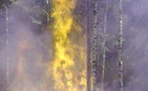 電氣火災趨勢及公共場所電氣火災原因