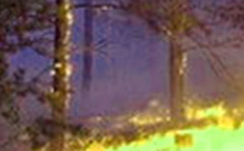 火災逃生的作文