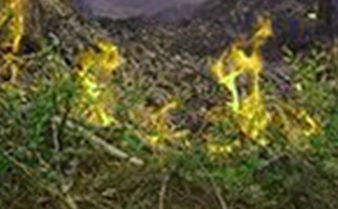 ����ɭ�ֻ�ķ��ع����������ģ�ͨ��19ƪ��