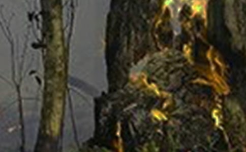 һ�λ����������