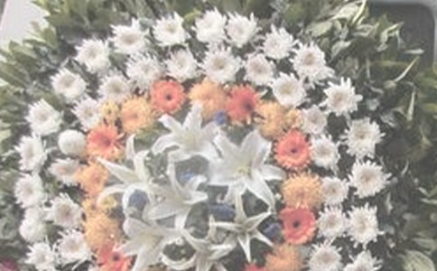 �F�����ķ��ļ���ͬ�W