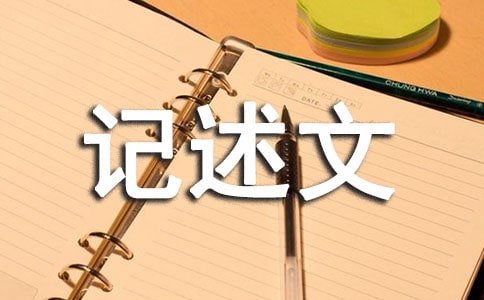 初中優秀記述文