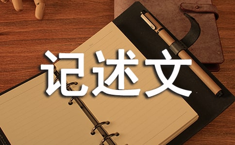 關于楓葉的作文記述文