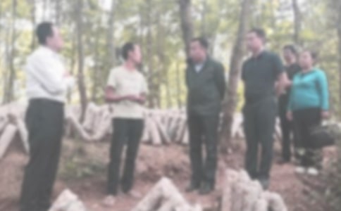 �T���`�o�zӑ