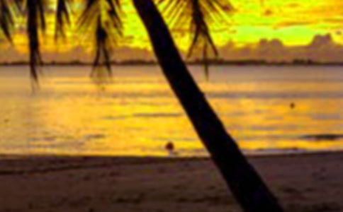 ���ڰ�������